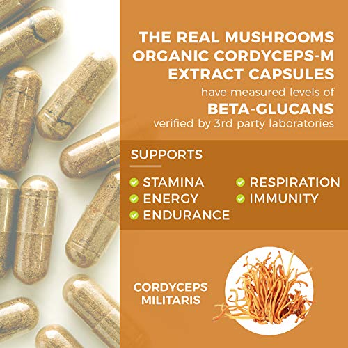 Real Mushrooms Cordyceps 120 Count